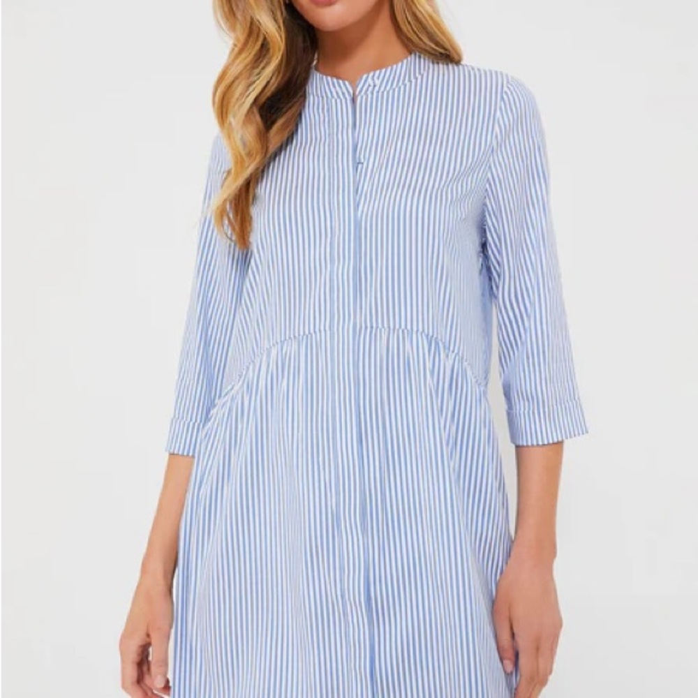 Tuckernuck Pinstripe Royal Shirt Dress